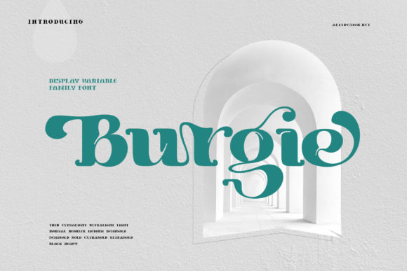 Burgie Font Review: A Designer’s Practical Take